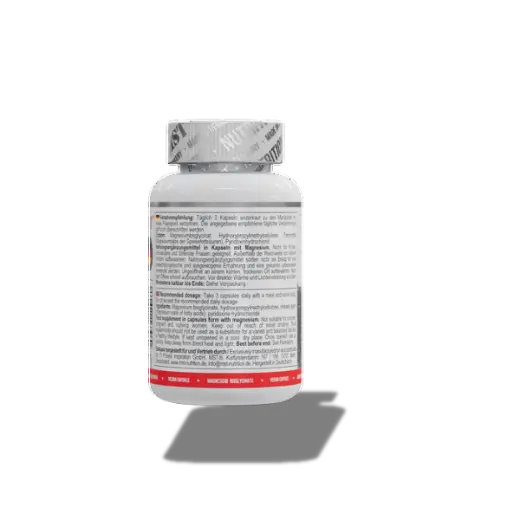 mst magnesium bisglycinate 90 kapseln